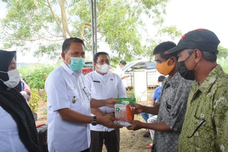 Plt Bupati Boalemo Ir.Anas Jusuf,M.si menyerahkan bantuan benih jagung hibrida R7 dan benih tomat kepada kelompok tani di Kecamatan Wonosari dan Kecamatan Paguyaman, Rabu (2/6/2021).