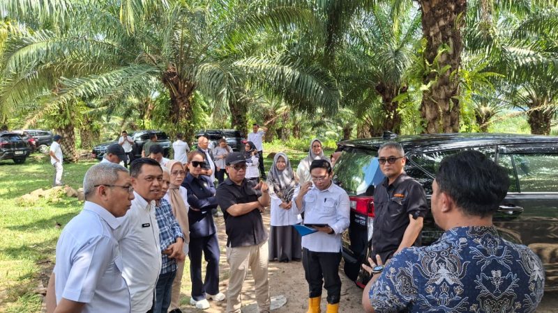 KPK, Ketua dan anggota komisi I Deprov Gorontalo bersama pejabat provinsi Gorontalo dalam rangka tinjau lahan dan temui petani sawit Gorontalo. (dok. istimewa)